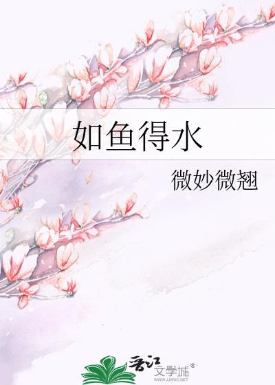 如鱼得水封面