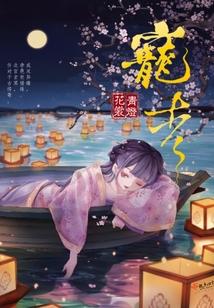 宠杏封面