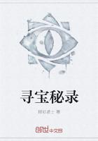 寻宝秘录封面