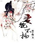 妻貌不扬封面