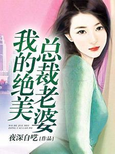 我的绝美总裁老婆封面