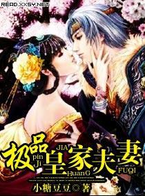 极品皇家夫妻封面