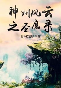 神州风云之圣魔录封面
