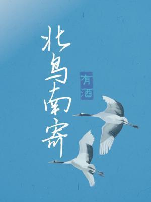 北鸟南寄封面