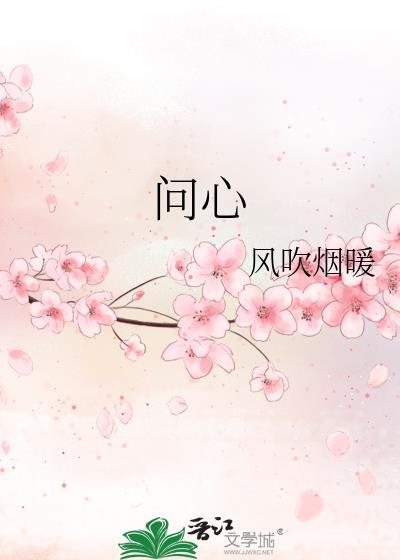 问心封面