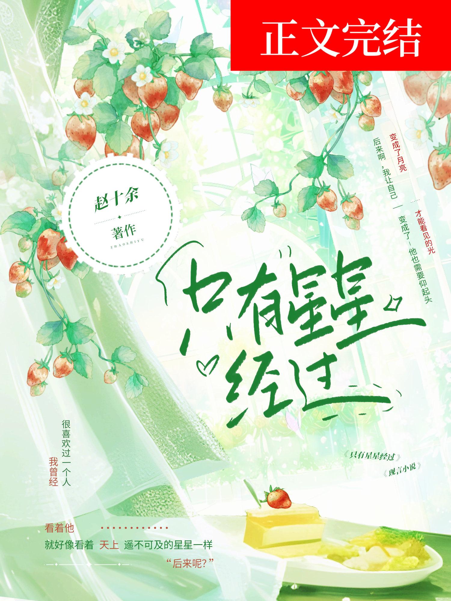 只有星星经过封面