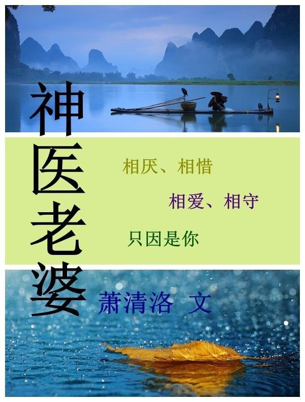 神医老婆封面