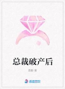 总裁破产后封面
