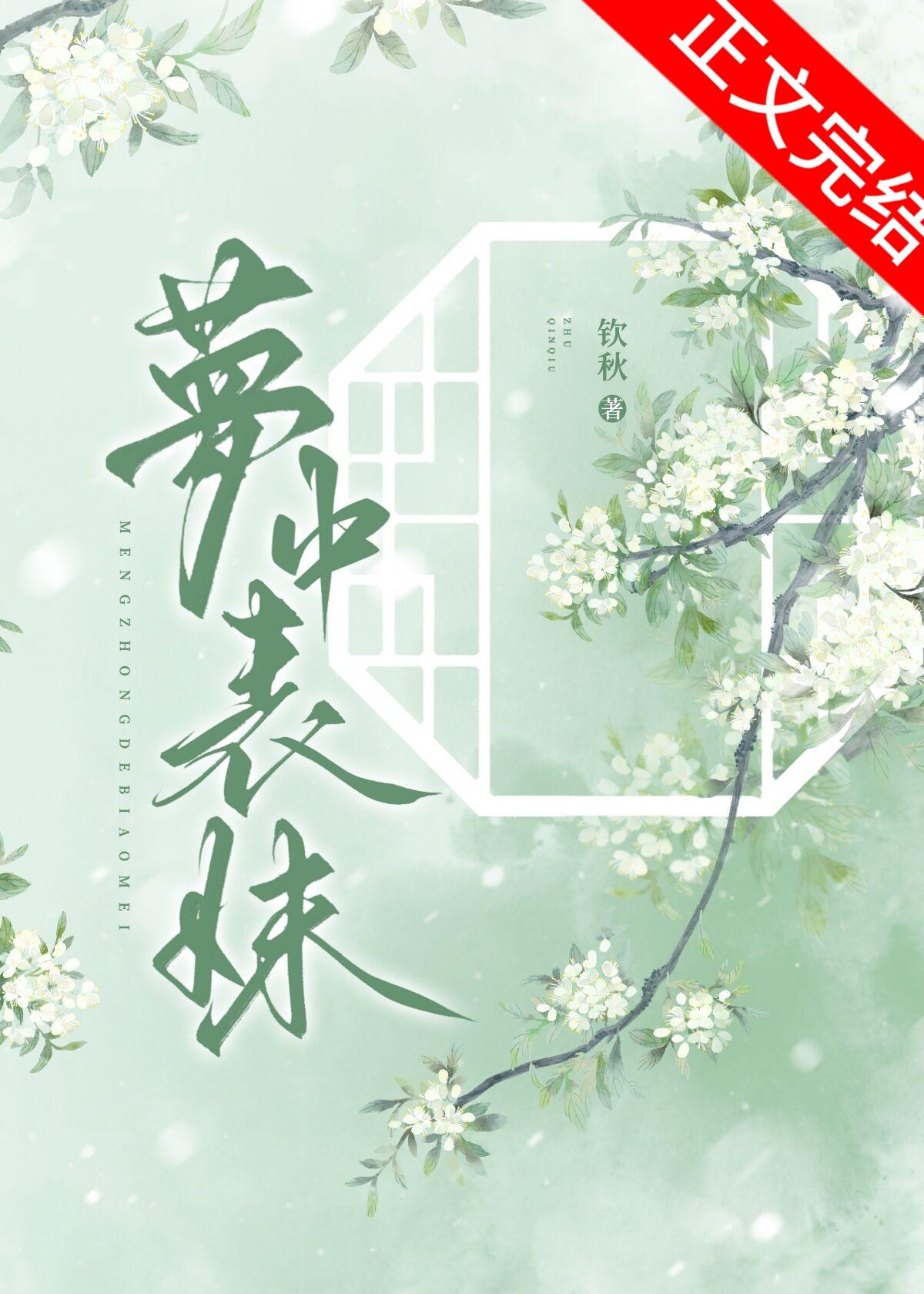 梦中表妹封面