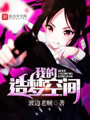 我的造梦空间封面