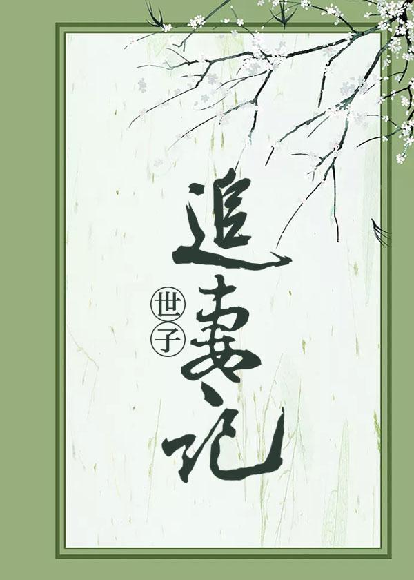 世子追妻记封面