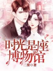 阿贝梅林枫封面