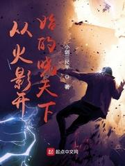 从火影开始的晓天下封面