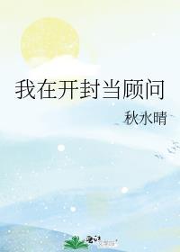 我在开封当顾问封面