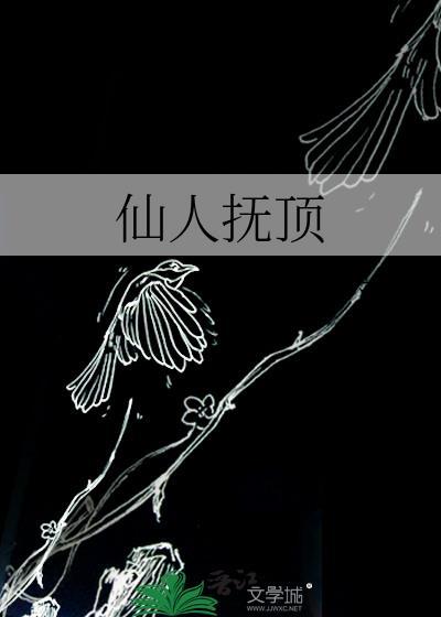仙人抚顶封面