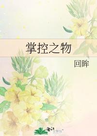 掌控之物封面