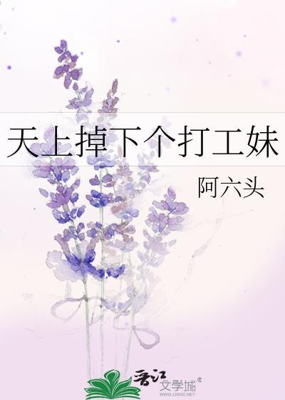 天上掉下个打工妹封面
