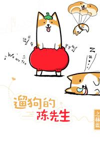 遛狗的陈先生封面